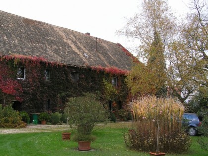 照片: Mariannenhof Cafégarten